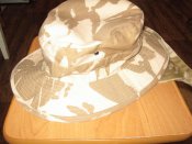 IMG_2894[1].jpg