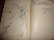 DSC05311.JPG