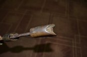DSC_0900.JPG