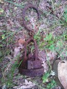 WP_002869.jpg