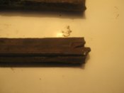 IMG_2217.JPG