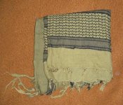 DSCF0380.JPG