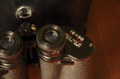 _DSC4998.JPG
