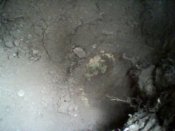 IMG0291A.jpg