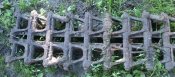 DSC_0075-4.jpg