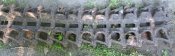 DSC_0070-6.jpg