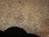 IMG_6495.JPG