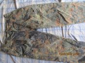 IMG_3682[1].JPG