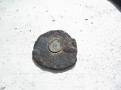 PIC_0004.jpg