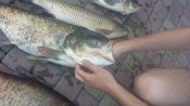 20150719_170041.jpg