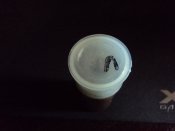DSC04075.JPG