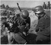 416.jpg