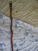 IMG_1019.JPG