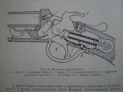 Иж-5 (1).JPG