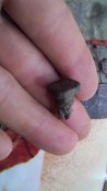 2015-07-22_11-46-07_787.jpg