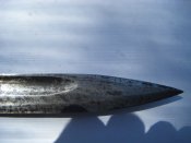 DSCF9659.JPG