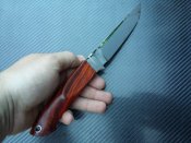 20150622_202224.jpg