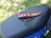 20150722_144225.jpg