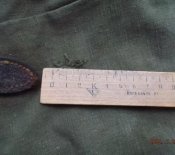 DSCF8246.jpg