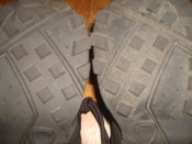 DSC00109.JPG