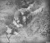 ee8_in_field.jpg