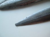 IMG_4036.JPG