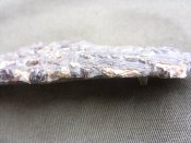 SDC12291.JPG