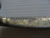 IMG_6988.JPG