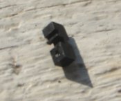 DSC00485.jpg