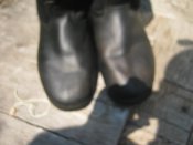 IMG_0743.JPG