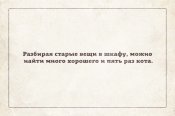 5509019.jpg
