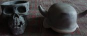 DSC00964.jpg