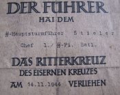 08_05_2010_WaffenSS_doc_3.jpg