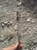 20150728_180507.jpg