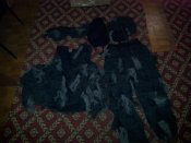 20150729_172039.jpg