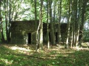 IMG_0106.JPG