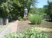 DSC00035.jpg