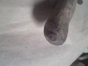 DSC05514.JPG