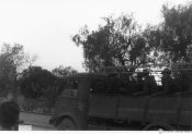 5_Passaggio nella città di Atene della divisione Julia nell'estate 1941.jpg