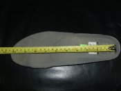 DSCI3763.JPG