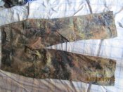 IMG_3734[1].JPG
