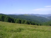 DSC06815.JPG