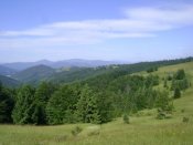 DSC06816.JPG