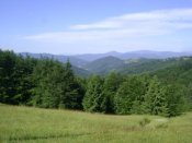 DSC06817.JPG