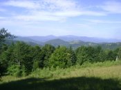 DSC06819.JPG