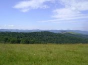 DSC06824.JPG