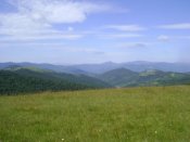 DSC06825.JPG