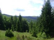 DSC06840.JPG