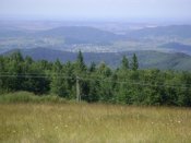 DSC06855.JPG