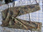 IMG_3746[1].JPG